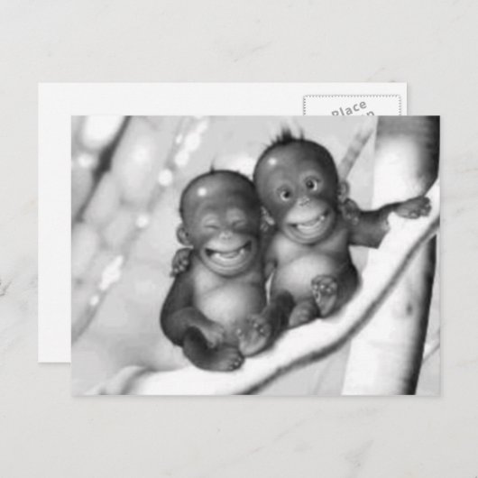 Kleine Affen Postkarte (Vorne/Hinten)