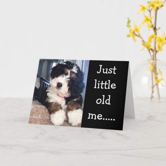 KLEINE ALTE ICH WÜNSCHE SIE FREUEN **70.** Karte (Gelbe Blume)