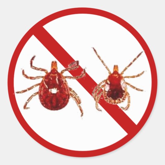 Kleine Aufkleber, Kick der Lyme-Krankheit (weiß) Runder Aufkleber (Vorderseite)