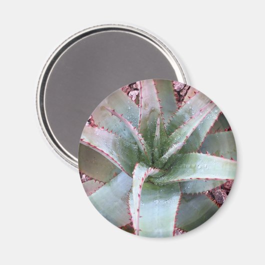 Kleine Ave Magnet (Vorderseite/Rückseite)