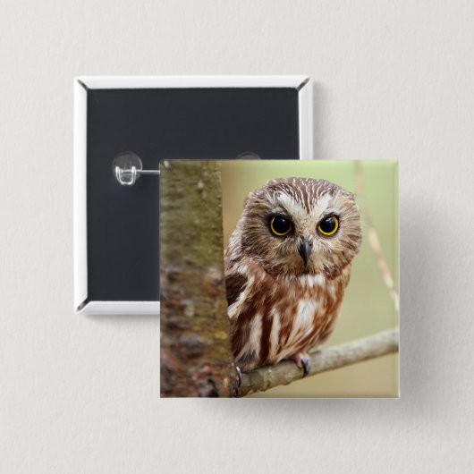 Kleine Baby-Eule | Ontarios Button (Vorne & Hinten)