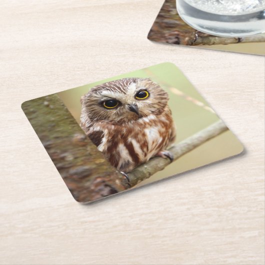 Kleine Baby-Eule | Ontarios Rechteckiger Pappuntersetzer (angewinkelt)