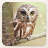 Kleine Baby-Eule | Ontarios Rechteckiger Pappuntersetzer (Vorderseite)
