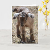 Kleine Baby-Ziege Karte (Gelbe Blume)
