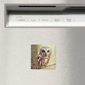 Kleine Babyschale | Ontarios Magnet (In Situ (Geschirrspüler))