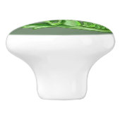 kleine Basil Herb Dragon Keramikknauf (Seitenansicht)