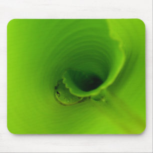 Kleine Baum-Frosch-Mausunterlage Mousepad
