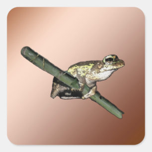 Kleine Baum Frosch Ölfarbe, Aufkleber