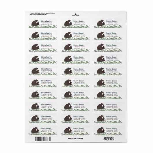 Kleine Bear Baby Dusche Rücksendeadressen-Aufklebe (Vorne)