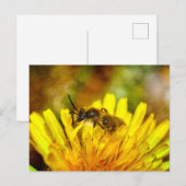 Kleine Biene Postkarte (Vorne/Hinten)