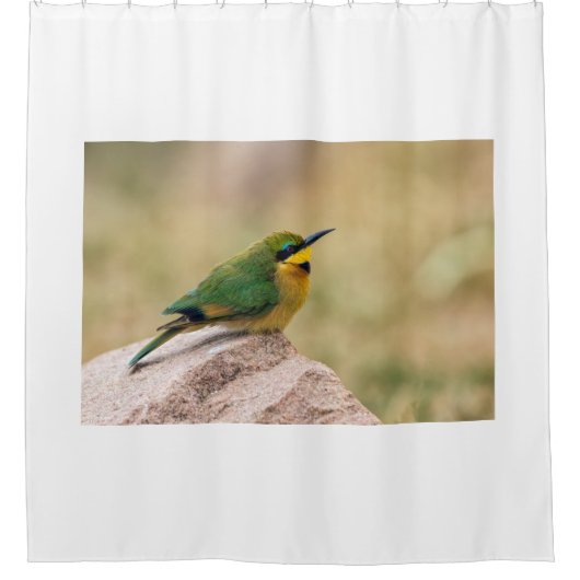 Kleine Bienenfresser Duschvorhang (Vorderseite)