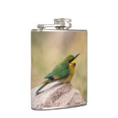 Kleine Bienenfresser Flachmann (Rechts)