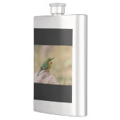 Kleine Bienenfresser Flachmann (Links)