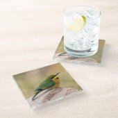 Kleine Bienenfresser Glasuntersetzer (Schrägansicht)