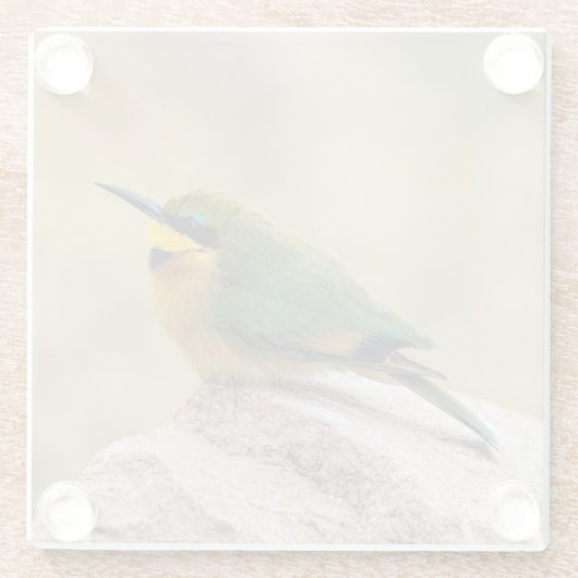 Kleine Bienenfresser Glasuntersetzer (Rückseite)