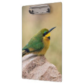 Kleine Bienenfresser Klemmbrett (Links)