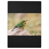 Kleine Bienenfresser Klemmbrett (Rückseite)