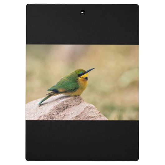 Kleine Bienenfresser Klemmbrett (Rückseite)