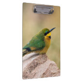 Kleine Bienenfresser Klemmbrett (Rechts)