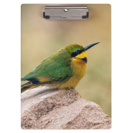 Kleine Bienenfresser Klemmbrett (Vorderseite)