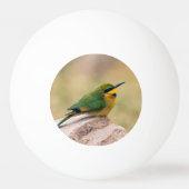 Kleine Bienenfresser Tischtennisball (Rückseite)