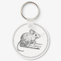 Kleine Bleistiftmaus