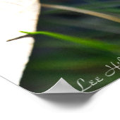 Kleine Bluets in den rostkrummen Blätter Poster (Ecke)