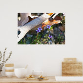 Kleine Bluets in den rostkrummen Blätter Poster (Küche)