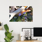 Kleine Bluets in den rostkrummen Blätter Poster (Heimbüro)