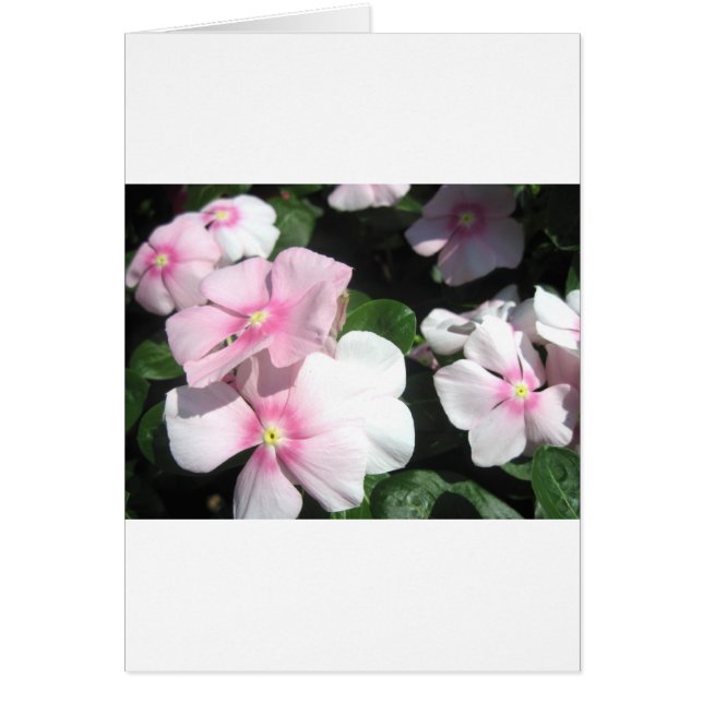 Kleine Blume (Vorne)