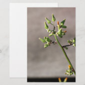 Kleine Blume Briefpapier (Vorne/Hinten)