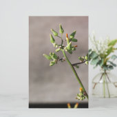 Kleine Blume Briefpapier (Stehend Vorderseite)