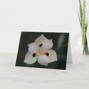 kleine Blume Dankeskarte