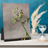 Kleine Blume Fotoplatte (Seite)