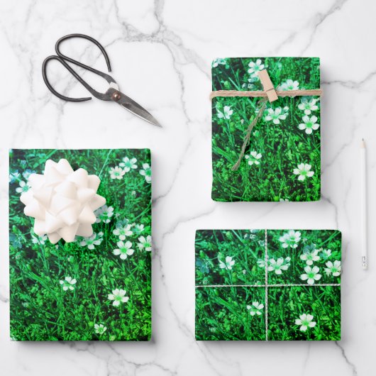Kleine Blume Geschenkpapier Set (Vorderseite)