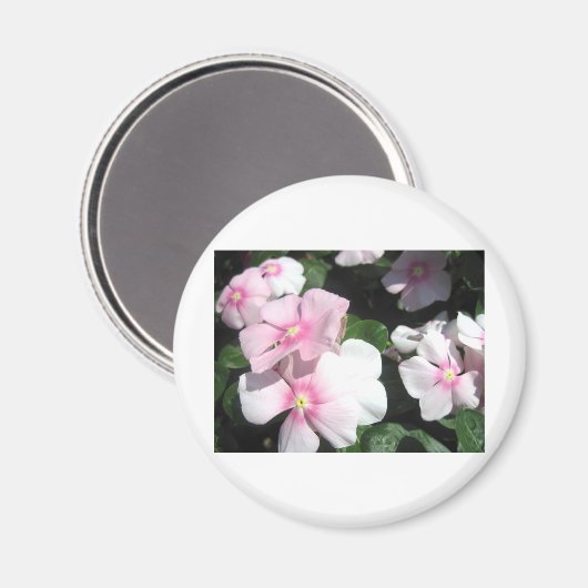 Kleine Blume Magnet (Vorderseite/Rückseite)