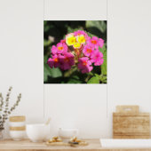 Kleine Blume Poster (Küche)