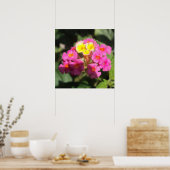 Kleine Blume Poster (Küche)