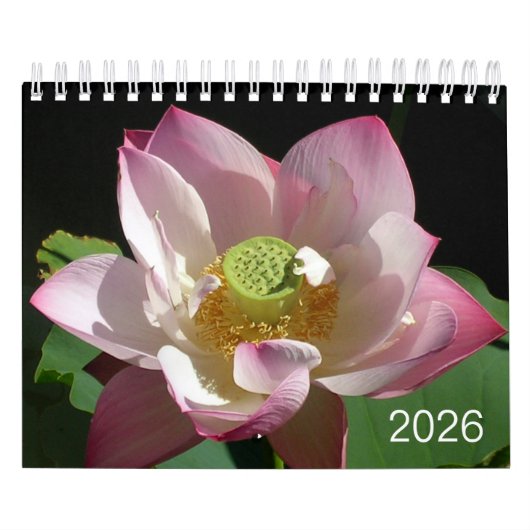 Kleine Blumen Kalender 2026 (Titelbild)
