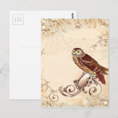 Kleine Braune Eule Postkarte (Vorne/Hinten)