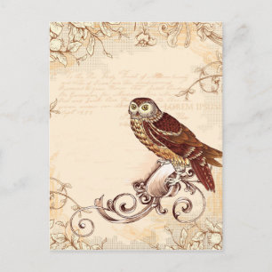 Kleine Braune Eule Postkarte