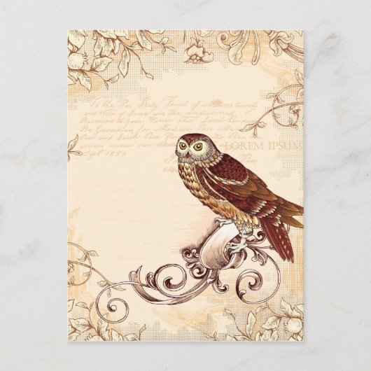 Kleine Braune Eule Postkarte (Vorderseite)
