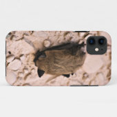 Kleine Braune Fledermaus Case-Mate iPhone Hülle (Rückseite (Horizontal))