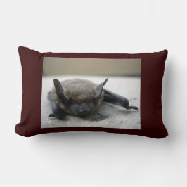 Kleine braune Fledermaus (Myotis lucifugus) Lendenkissen