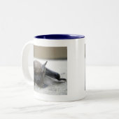 Kleine braune Fledermaus (Myotis lucifugus) Zweifarbige Tasse (Vorderseite Links)