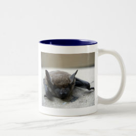 Kleine braune Fledermaus (Myotis lucifugus) Zweifarbige Tasse