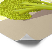 Kleine Brokkoli Poster (Ecke)