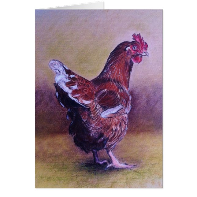 Kleine Brown-Henne (Vorne)