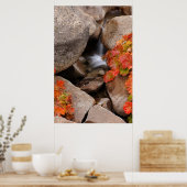 Kleine Bucht im Herbst, Kalifornien Poster (Küche)