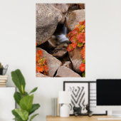 Kleine Bucht im Herbst, Kalifornien Poster (Heimbüro)